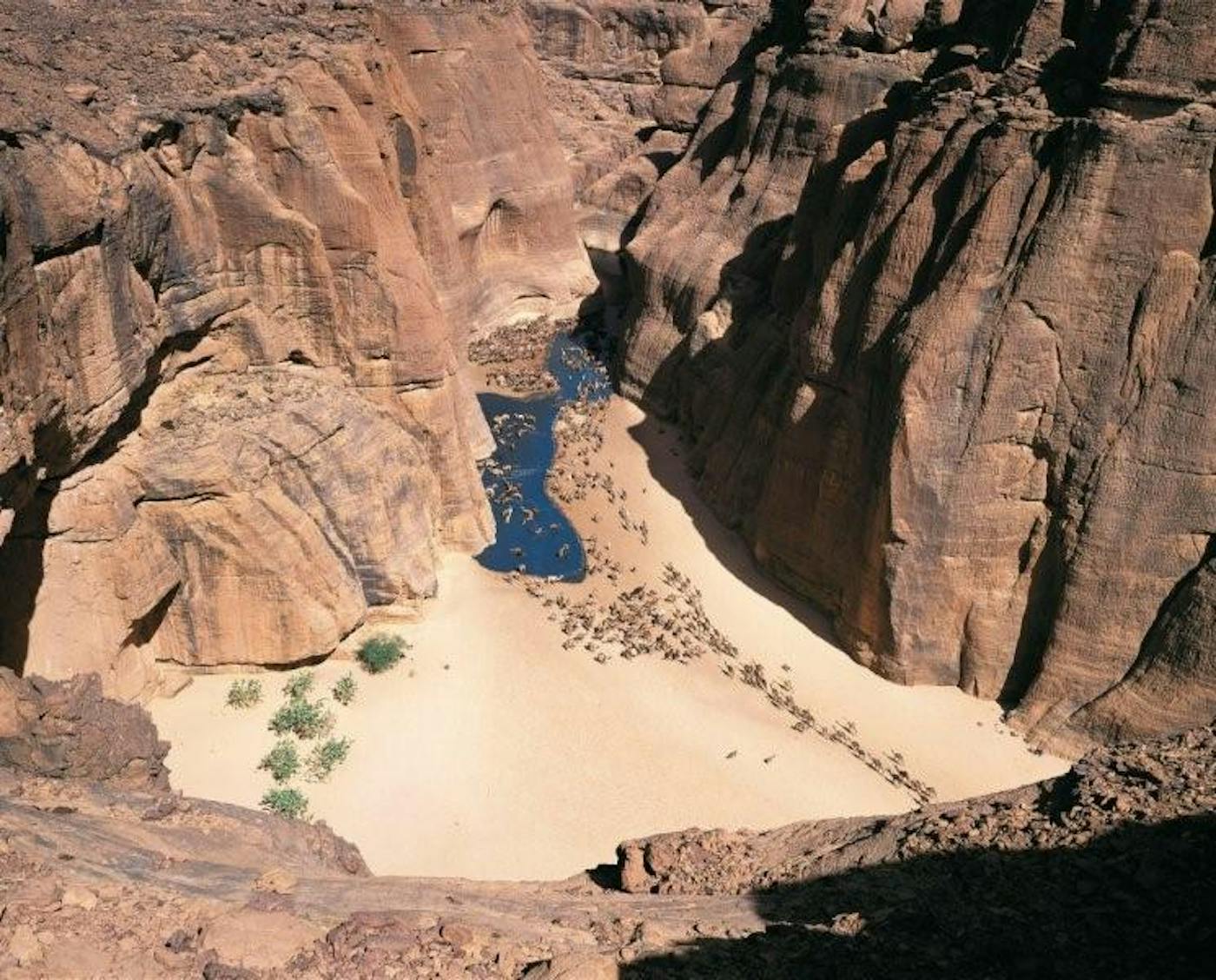 Southern Sahara Deserts & Mountain Woodlands (PA25)
